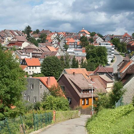 Ferienwohnung Wiesenblick Mit Terrasse Im Landhaus Fischer Sankt Andreasberg Eksteriør bilde