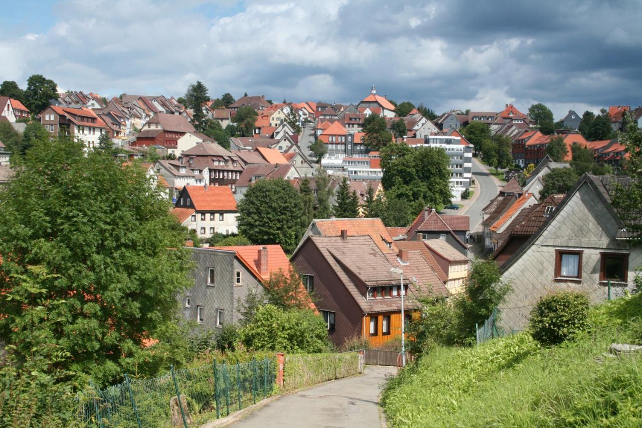 Ferienwohnung Wiesenblick Mit Terrasse Im Landhaus Fischer Sankt Andreasberg Eksteriør bilde